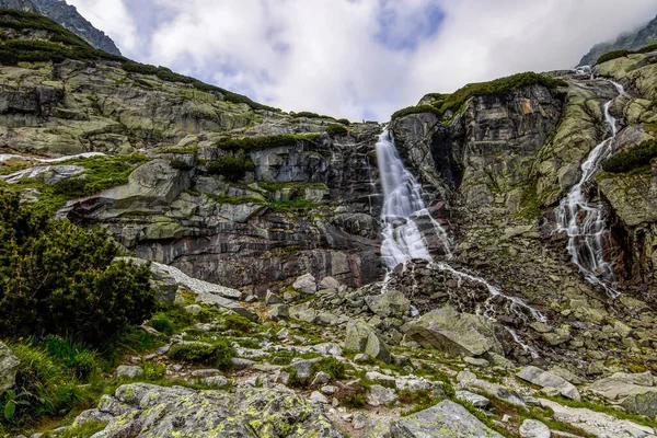 Gebirgsbach Blick Auf Einen Gebirgsbach Nationalpark Hohe Tatra Slowakei — Stockfoto