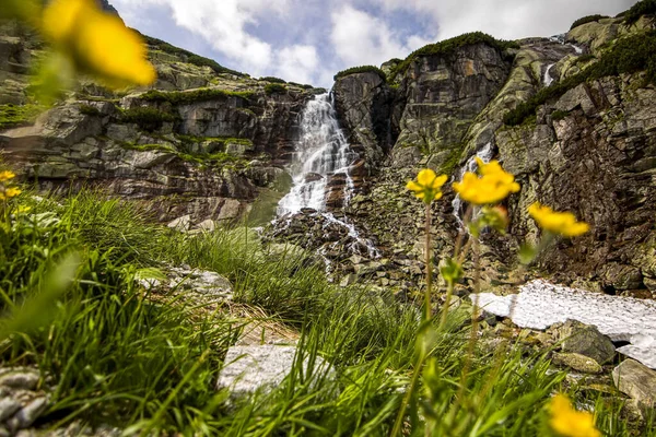 Vattenfall Med Blommor Höga Tatrabergen — Stockfoto