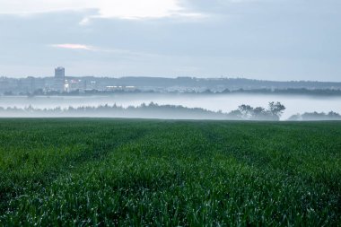 Prag, Çek Cumhuriyeti, yağmurdan sonra sisli şehre manzara