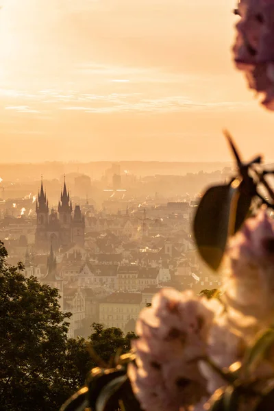 Vue aérienne sur le lever du soleil dans la prague. voyage concept, République tchèque — Photo