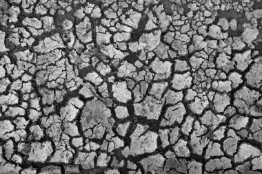 Kuru toprak yüzeyinin ve bir tabak kırdı.