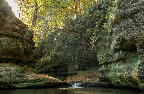 Sabah erken güneş ışığı aç rock state park, Illinois, ABD Illinois kanyona sürünen. — Stok fotoğraf