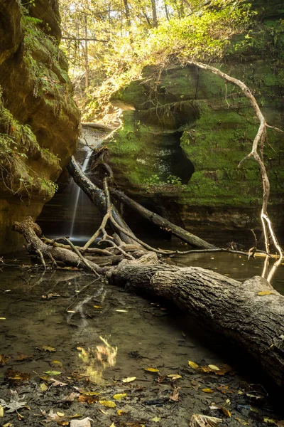 Agua en cascada suavemente a través del cañón Kaskaskia. Starved Rock state park, Estados Unidos . —  Fotos de Stock