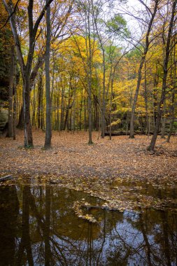 Autumn in Illinois canyon. clipart