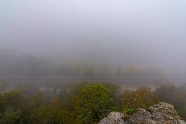 Mississippi Palisades Ulusal Palisades 'te sonbahar sabahı yoğun sis var..