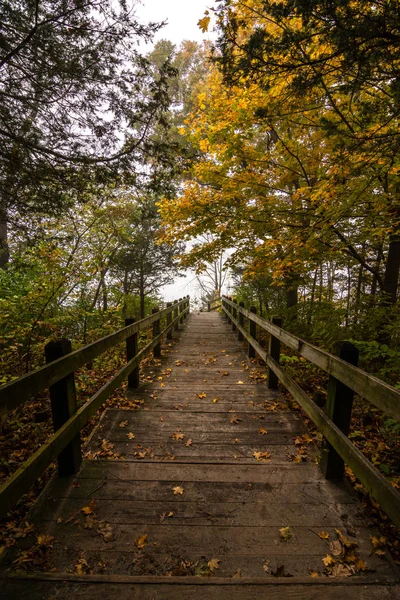 Fall foliage and hiking trails in the fog on a cold autumn day at the Mississippi Palisades state park, Illinois.