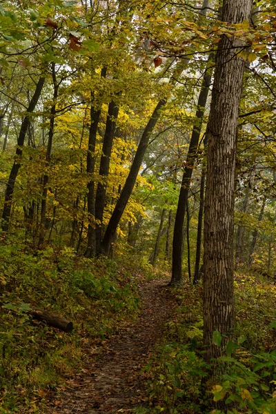 Fall foliage and hiking trails in the fog on a cold autumn day at the Mississippi Palisades state park, Illinois.