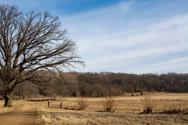 Dirt road through the Midwest countryside.  Bureau County, Illin — Stock Photo, Image