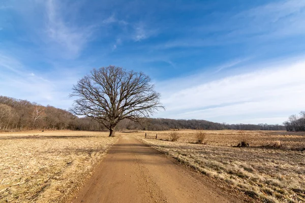 Dirt road through the Midwest countryside.  Bureau County, Illin — Stock Photo, Image