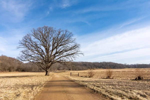 Dirt road through the Midwest countryside.  Bureau County, Illin — Stock Photo, Image