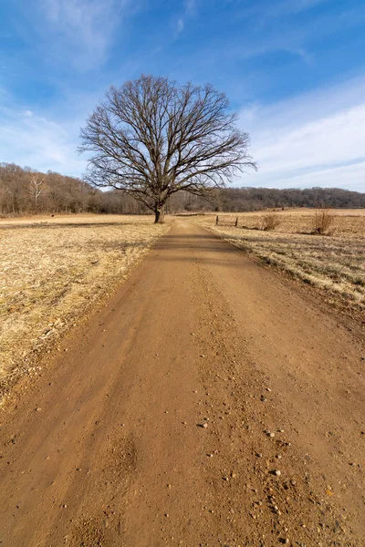 Dirt road through the Midwest countryside.  Bureau County, Illin — Stock Photo, Image