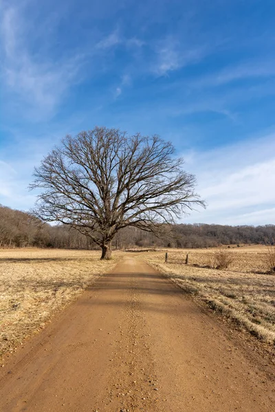 Dirt road through the Midwest countryside.  Bureau County, Illin — Stock Photo, Image