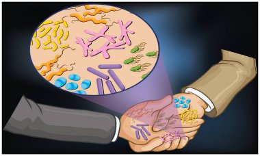Tokalaşma mikropları bir insandan diğerine yayar.