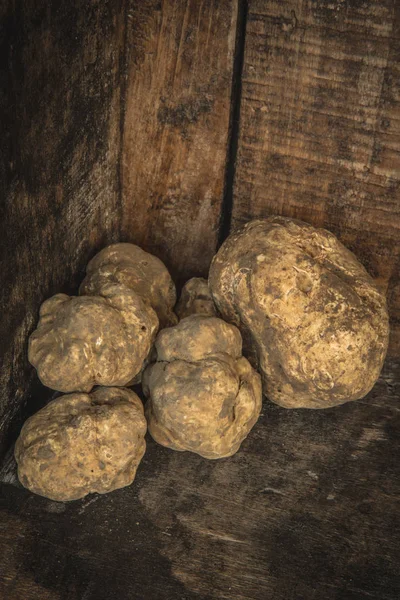 Precious white truffles from Savigno, Italy on rustic background