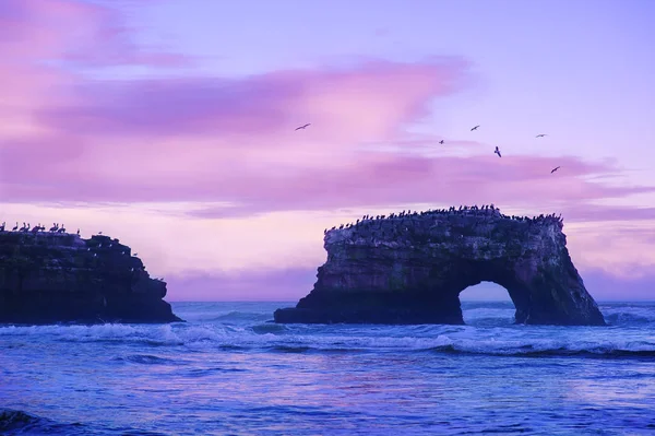 Arco natural incrível na rocha enorme ao pôr do sol em Natural Bridges State Beach, na Califórnia, EUA - lugar turístico famoso, especialmente à noite, com um monte de pássaros — Fotografia de Stock