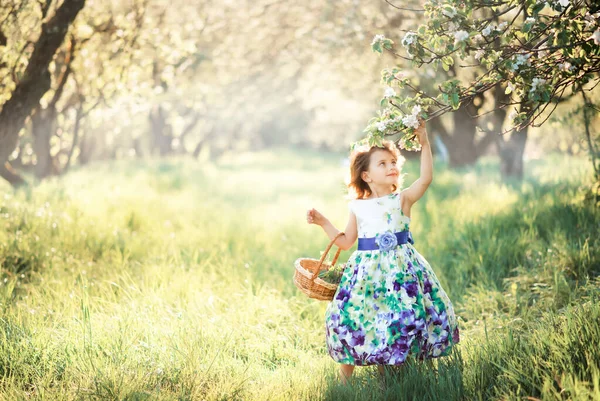 Mała dziewczynka z koszykiem zostaje w trawie w ogrodzie z kwiatami. Wiosną. Zachód słońca. Niebezpieczne żniwa możliwe. Sezon alergii. Naturalne światło. Miejsce na tekst. — Zdjęcie stockowe