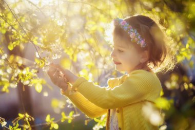 Çelenkli küçük kız çiçek açan bahçede gün ışığında kalır. İlkbahar. Gün batımı. Tehlikeli hasat böceği olabilir. Alerji sezonu baharı. Doğal ışık. Metin için boşluk