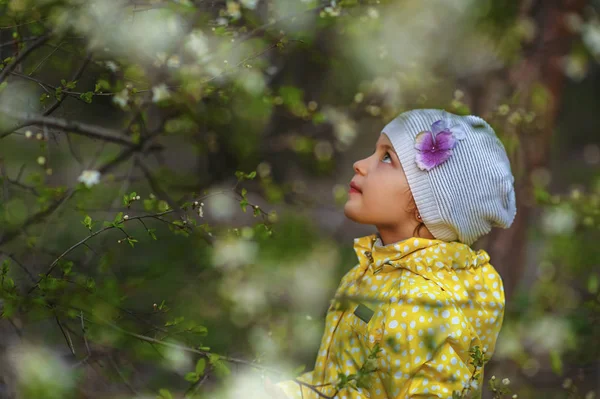 Mała 5-letnia dziewczynka spogląda w górę na kwitnące drzewo. Dziecko w żółtym płaszczu i białym kapeluszu patrzy na kwiaty w kwitnącym ogrodzie na wiosnę. Sezon alergii. Miejsce na tekst — Zdjęcie stockowe