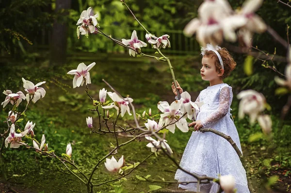 Piękna 5-letnia dziewczyna w białej sukience w kwitnącym ogrodzie magnolii. Wiosna - sezon alergii. Czas na zachód słońca. Kwiaty na gałęziach. Styl życia w ogrodzie botanicznym — Zdjęcie stockowe