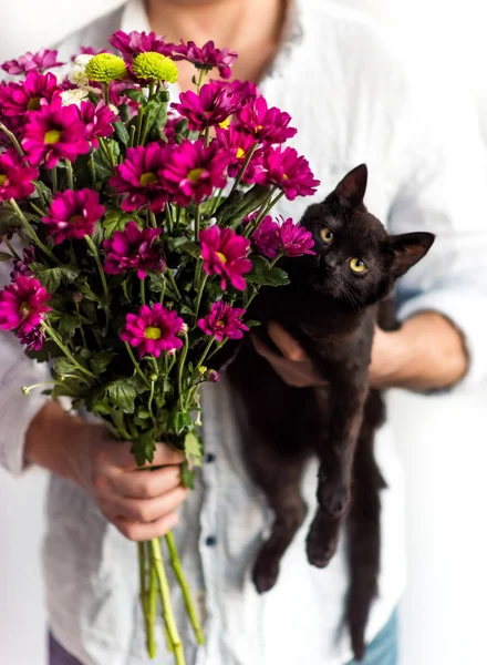 Prezent na Walentynki i kobiety. Bukiet ciemnoróżowe kwiaty i czarny kot. Torso człowieka w białej koszuli trzymać w dłoniach bukiet kwiatów, czarny kotek patrząc w aparacie jako prezent na Walentynki — Zdjęcie stockowe