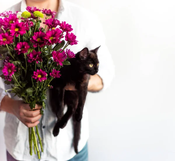 Prezent na Walentynki i kobiety. Bukiet ciemnoróżowe kwiaty i czarny kot. Torso człowieka w białej koszuli trzymać w dłoniach bukiet kwiatów, czarny kotek patrząc z dala jako prezent na Walentynki — Zdjęcie stockowe