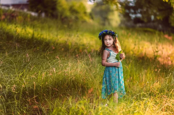 Пятилетняя девочка в венке из кукурузных цветков летом на лужайке в синем платье при солнечном свете. Близко к образу жизни природы в детстве. Лето опасно для аллергиков — стоковое фото