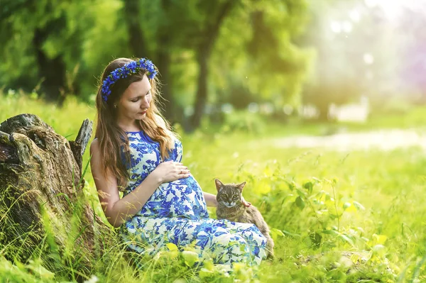 青い服を着た若い美しい妊婦と灰色の猫と緑の芝生の地面に座っているコーンフラワーからの花輪。自然界の有機生態系の妊娠に近い。母親は子供を期待している. — ストック写真