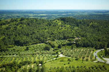 Fransa 'nın Provence kentindeki Luberon Vadisi' nden Les Baux-de-Provence şatosunun muhteşem manzarası. Yeşil tepeler ve üzüm bağlarının üzerinde güneşli bir gün ve mavi bir gökyüzü. Konforlu taşra manzarası
