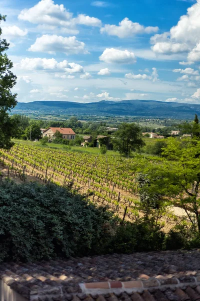 Вертикальний мальовничий краєвид з Менербе, одного з найгарніших сіл Франції, з пагорбів Луберона і виноградників у Провансі, Франція. Сільський сільський сільськогосподарський французький ландшафт. Місце для подорожей — стокове фото