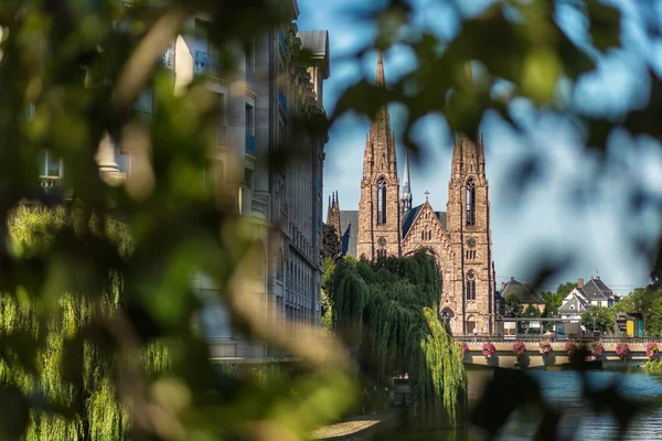 Fransa 'nın Alsace bölgesinin başkenti Strasbourg' daki Saint Paul Kilisesi yaz günü ağaçtaki yeşil yapraklar arasında. Yaz aylarında Alsas manzarası. Fransa 'da seyahat ve turizm — Stok fotoğraf