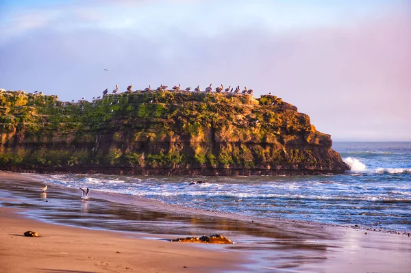 Dramatický Růžový Západ Slunce Nad Natural Bridges State Beach Santa — Stock fotografie