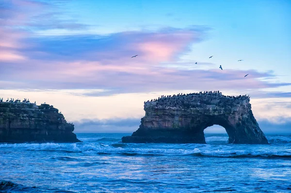 Crepúsculo Rosa Dramático Sobre Natural Bridges State Beach Santa Cruz — Fotografia de Stock