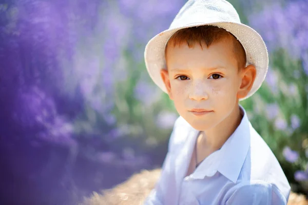 6Χρονο Αγόρι Λευκό Πουκάμισο Και Λευκό Καπέλο Λεβάντα Ζεστή Καλοκαιρινή — Φωτογραφία Αρχείου