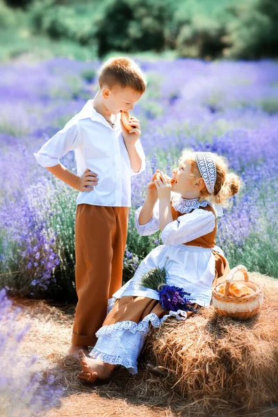 Cuadro Vertical Niños Ropa Vintage Medio Del Campo Lavanda Chica — Foto de Stock