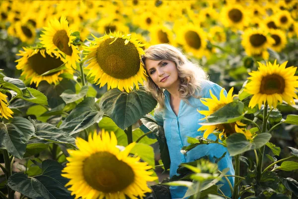 在向日葵地里 穿着蓝色衬衫的金发女人看着相机 无忧无虑的美女在美丽的自然环境中享受自由 美丽的夏季风景 接近自然的概念 — 图库照片