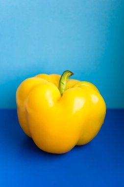 Yumuşak odak noktasında açık mavi ve koyu mavi arkaplanda tatlı sarı biber kırmızısı dikey resmi. Sağlıklı sebze. Vejetaryen yemeği. Yaz beslenmesi. Vitamin renkli yiyecekler. Taze vejetaryen yemeği.