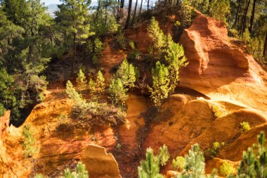 Roussillon 'daki Ochre Trail, Sentier des Ocres, Fransa' nın Provence kentindeki ormanla çevrili ocaktaki kırmızı ve sarı kayalıklarda yürüyüş yolu..