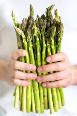 İnsanoğlunun elindeki yeşil kuşkonmaz demetinin dikey resmi. Erkeklerin elleri bir sürü taze kuşkonmaz toplar. Sağlıklı yiyecek, vejetaryen beslenme. Kuşkonmazlı tanınmayan eller. Mevsimlik yiyecekler