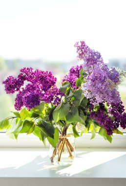 Pencere pervazında cam kavanozdaki beyaz, mor ve mor eflatun sert ışıkla dikey resmi. Bahar leylağı çiçekli arka plan. Aroma. Alerji.