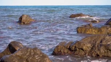 Denizin kayalık kıyılarında. Dalgalar gürültüyle kayalık bir kıyıya yuvarlanır. Deniz kenarında gün doğumu. Güzel deniz manzarası. Fırtınalı bir okyanusun kayalık kıyısı. Dalgalar kıyıya vuruyor.
