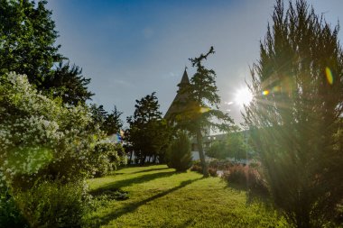 Güzel peyzaj. Kozalaklı ve yapraklı ağaçlar, parktaki çalılar. Park alanının düzenlenmesi.