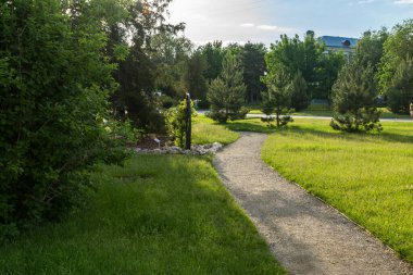 Güzel peyzaj. Kozalaklı ve yapraklı ağaçlar, parktaki çalılar. Park alanının düzenlenmesi.