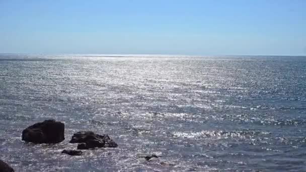 Una Costa Rocosa Del Mar Las Olas Ruedan Sobre Una — Vídeo de stock