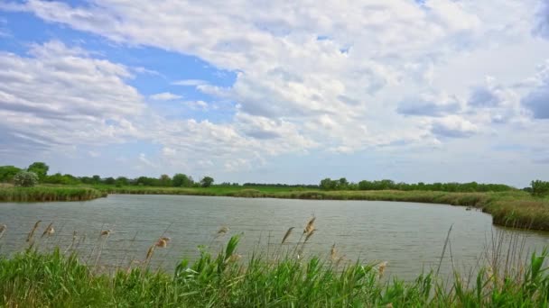 Krásný Výhled Řeku Jezero Proti Obloze Mraky Nad Obzorem — Stock video