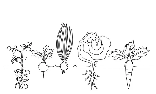 Family of vegetables growing in a garden on a garden, hand-drawn in one line — Stock Vector