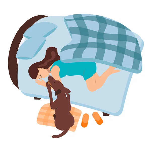 Bir kız uyanıyor. Köpek hamile bir kadını uyandırır. Evcil hayvanıyla birlikte kız yatakta uyuyor. Doğum yapmadan önce turkuaz bir sabah. Damalı battaniye. — Stok Vektör