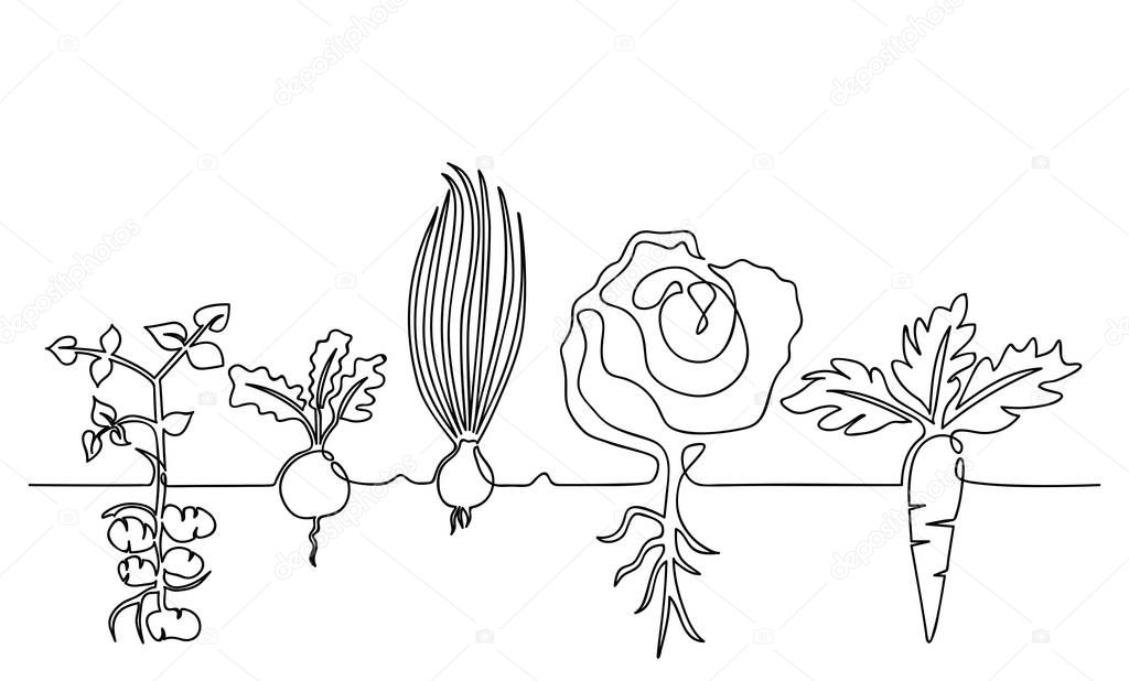 Family of vegetables growing in a garden on a garden, hand-drawn in one line