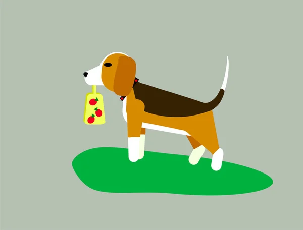Ilustracja wektora na szarym tle. Pies beagle lub harrier spaceruje po trawniku po trawie. Podpisz miejsce na spacer z psami. — Wektor stockowy