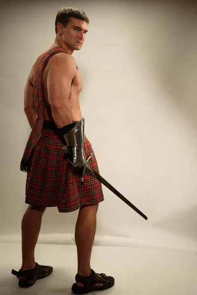 O belo highlander aguarda — Fotografia de Stock