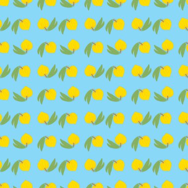 Sarı kutu, lüksuma ya da turkuaz arka planda dikişsiz yumurta meyvesi deseni.